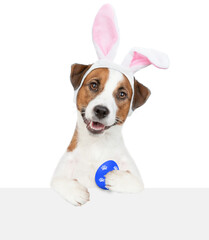 Funny Jack Russell terrier puppy wearing easter rabbits ears holds painted egg and looks above empty white banner. Isolated on white background