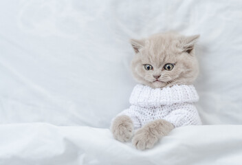 Funny kitten wearing warm sweater lying under white blanket on a bed at home and looks at camera. Top down view. Empty space for text