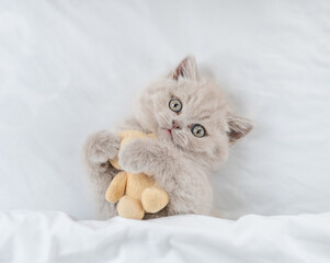 Playful kitten hugs favorite toy bear under white warm blanket on a bed at home.Top down view