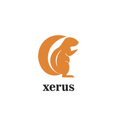 xerus logo design