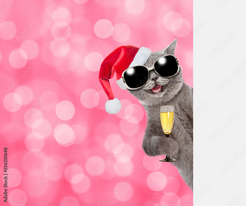 Poster happy cat wearing dunglasses and christmas hat holds glass of champagne and looks from behind empty 