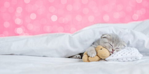 Tiny kitten sleeps under white blanket on a bed at home on festive background and hugs favorite toy bear. Empty space for text. Shade trendy color of the year 2023 - Viva Magenta background
