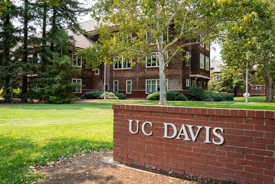 A photo of the original brick gate entrance to U.C. Davis, and Dutton Hall behind it.  The school started with a focus on agriculture that continues today.