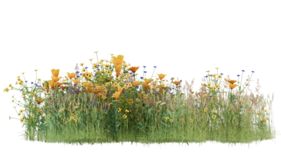Foto op Canvas Various types of flowers grass bushes shrub and small plants isolated  © Poprock3d