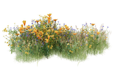 Various types of flowers grass bushes shrub and small plants isolated
 - Powered by Adobe