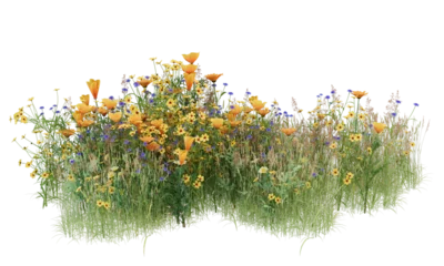 Foto op Plexiglas Various types of flowers grass bushes shrub and small plants isolated  © Poprock3d