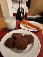 Christmas Night Ready For Santa