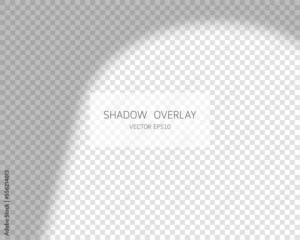 Poster shadow overlay effect. natural shadows from window isolated on transparent background. vector illust