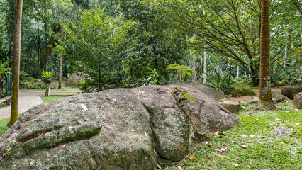 A mossy granite boulder in a tropical park. Fallen leaves on the green grass. There is a paved pedestrian path, lush vegetation around. Seychelles