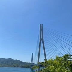 suspension bridge