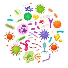 Vector image of various bacteria. Pathogenic bacteria, viruses and microbes. Colored microbes and various types of bacteria. A design element for a website, applications, social networks.