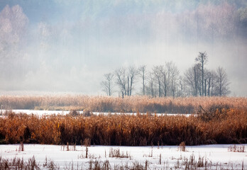 Zimowe Jezioro w Mgłach 