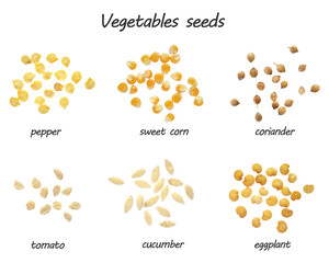 Closeup of vegetable seeds pepper, tomato, cucumber, eggplant, sweet corn, coriander isolated on white background. Vegetables seeds: pepper, tomato, cucumber, eggplant, sweet corn, coriander.
