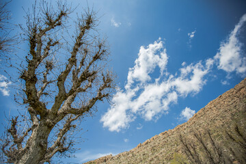 Nature in autumn season, Erbil, Iraq