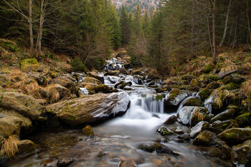 Fototapeta premium a stream that flows in the mountains in late autumn