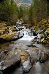 a mountain stream through the forest