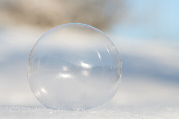 Close-up of a transparent soap bubble. The bubble lies in the snow. The background is light. The blue sky and bare trees are behind it.