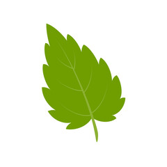 Green leaf. Flat style. 