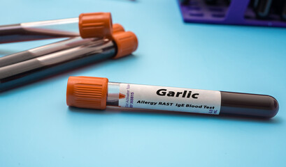 Garlic  Allergy RAST IgE Blood Tests. Test tube on blue background