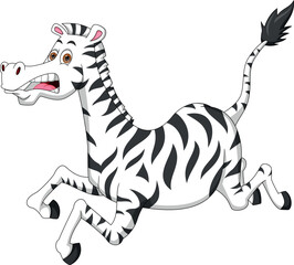 cartoon zebra running scared © lawangdesign