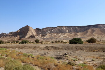 The Negev is a desert in the Middle East, located in the south of Israel.