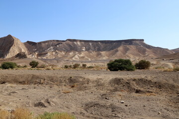 The Negev is a desert in the Middle East, located in the south of Israel.