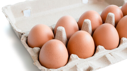 Open box with fresh brown eggs isolated on white background, clipping path. Fresh organic chicken eggs in carton box.