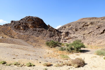 Fototapeta na wymiar The Negev is a desert in the Middle East, located in the south of Israel.