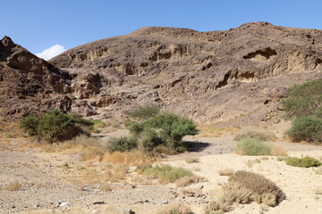 The Negev is a desert in the Middle East, located in the south of Israel.