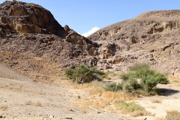 The Negev is a desert in the Middle East, located in the south of Israel.