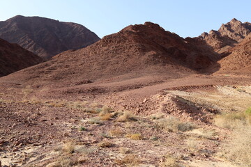 The Negev is a desert in the Middle East, located in the south of Israel.