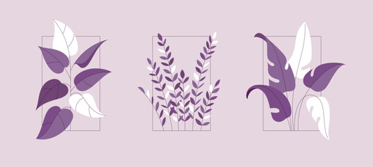 Set of plant branches in flat style with frame. Line art with outline. Monochrome vector template of green bush for home interior design, coziness. Isolated botanical illustration with leaves
