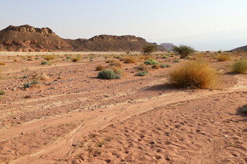 The Negev is a desert in the Middle East, located in the south of Israel.