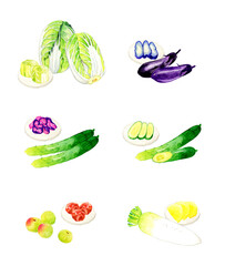 野菜と漬け物のセット　手描き水彩イラスト素材集