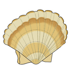 Scallop vector logo for marine.