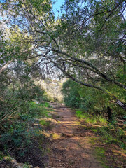 parco naturale a palma di maiorca