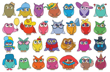Owl vector color set icon. Isolated color set icon funny bird. Vector illustration owl on white background.