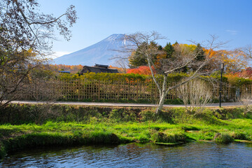 山梨県 忍野村 秋の忍野八海、濁池と富士山