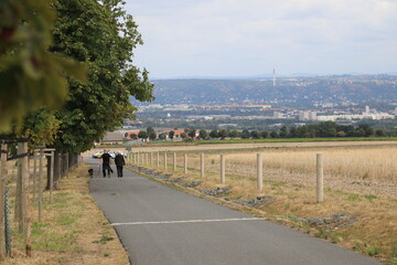 Elbtal, Dresden © altix5