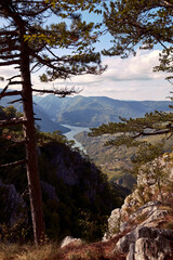 Fototapeta na wymiar River Drina and national park Tara mountain landscape..