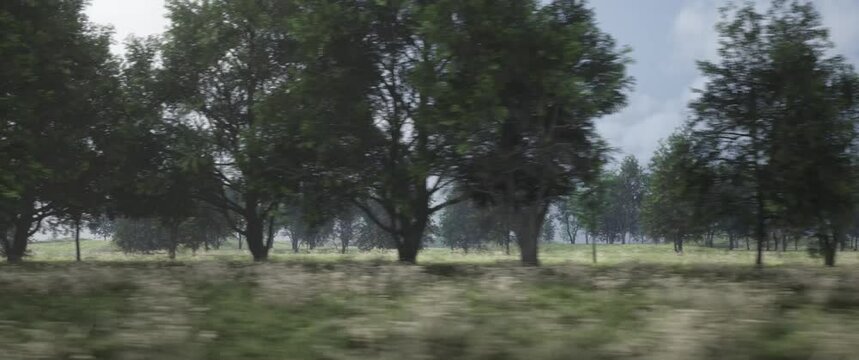 window view from a train 4k 