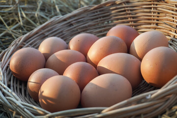 Easter eggs on wooden basket background in the early morning on Easter Holiday. 