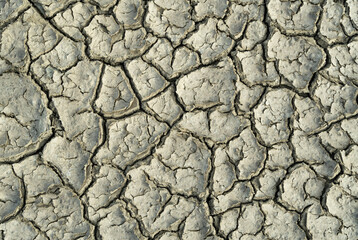 The dry soil, the topsoil cracked due to the lack of water, moisture loss, lack of vegetation cover is a natural disaster.  abstract background.