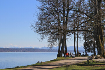 Obraz premium Spaziergang am Ufer des Starnberger Sees (Oberbayern)