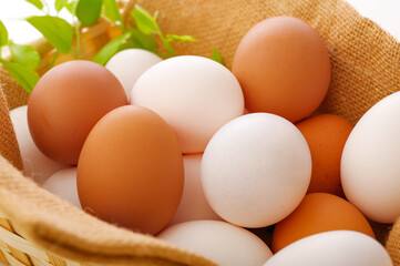 カゴに盛った生たまご