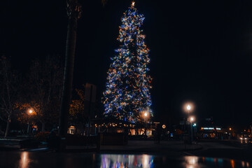 Coronado California City Christmas Tree at night