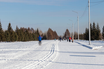 People skiing and walking in the winter park on a sunny day