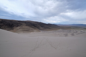 Fototapeta na wymiar Le site de Sand Dunes sur la Highway 50 aux USA
