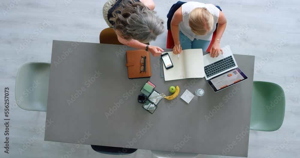Aufkleber laptop, notebook and team planning web design, wireframe choice or online app layout for website development. Software, desk top view and partnership collaboration teamwork of ui or ux designer women