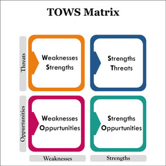 TOWS Matrix - Threats, Opportunities, Weaknesses, Strengths. Matrix Infographic template